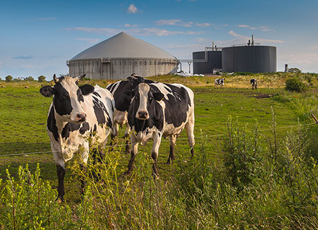 AGILITECH-inset-biogas-solutions Agilitech Biogas Solutions