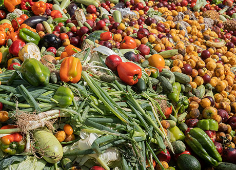 AGILITECH-inset-biogas-utilization Agilitech Biogas Utilization