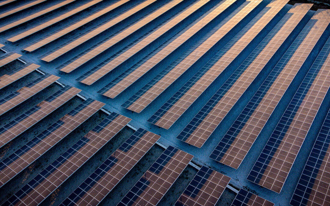 Solar panels lined up on ground